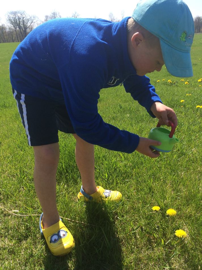 Wil watering flowers