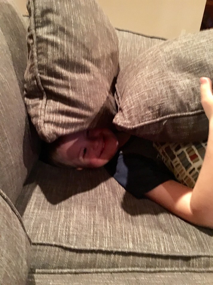 43C99274-B609-4CA7-82F8-CCCDA92E4EE2