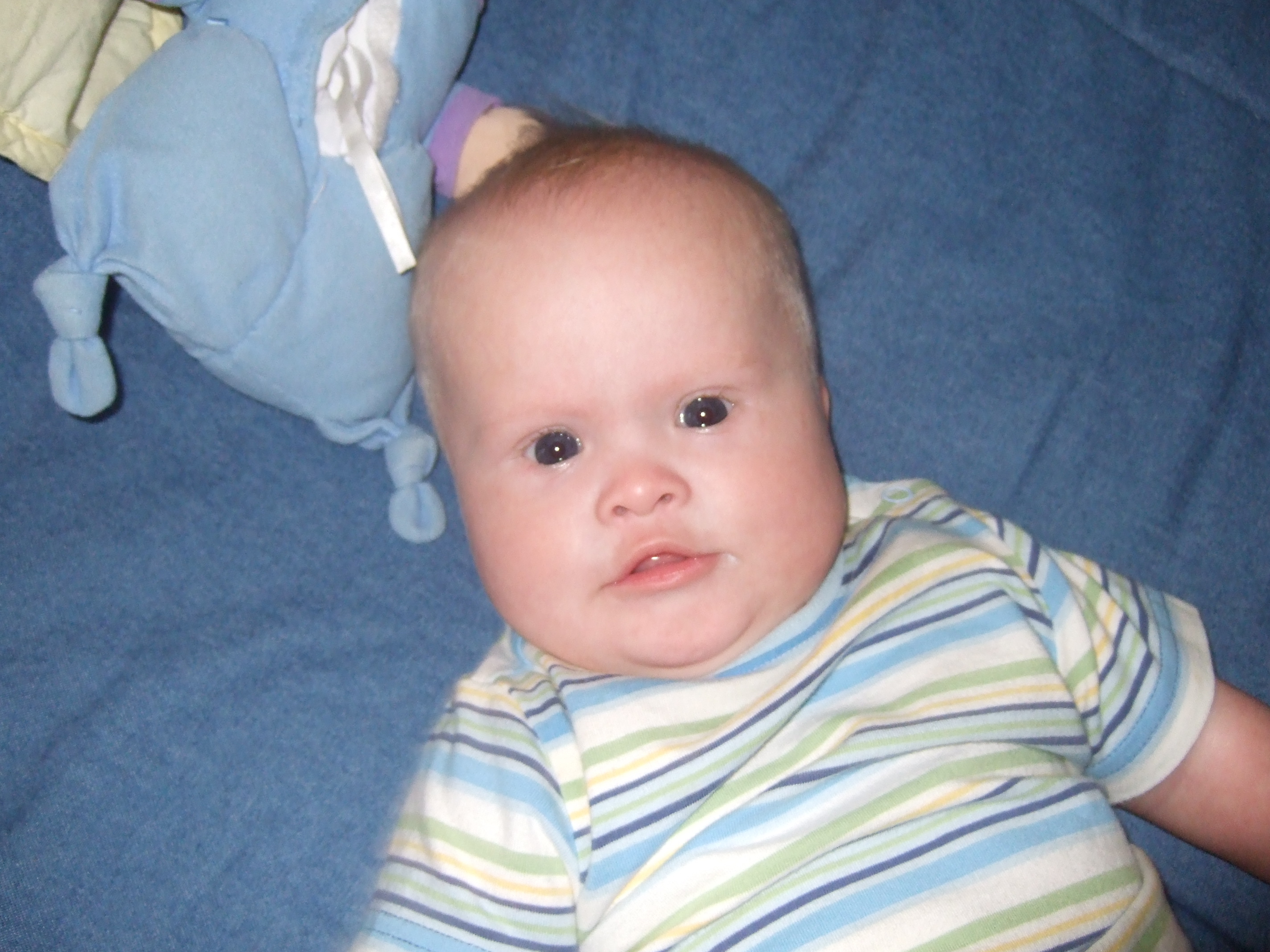 2007_1229Fallwinter070038