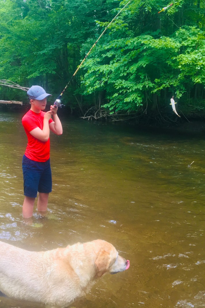 3CCBE976-974C-40AD-A270-15DB79A7306C